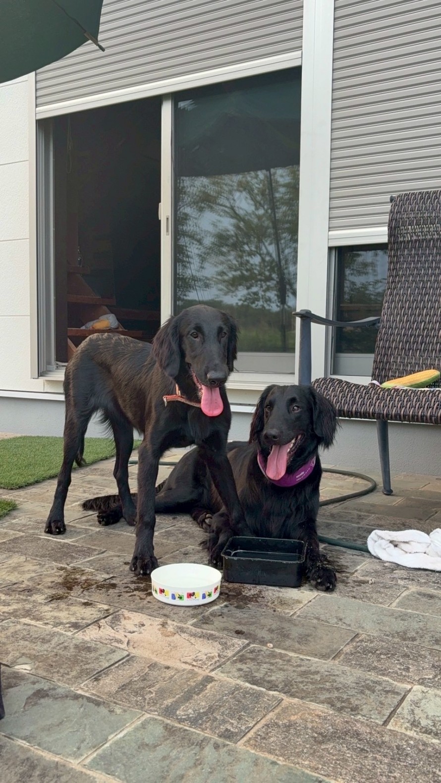 99102A51-D758-4477-8F05-E57B095C29081