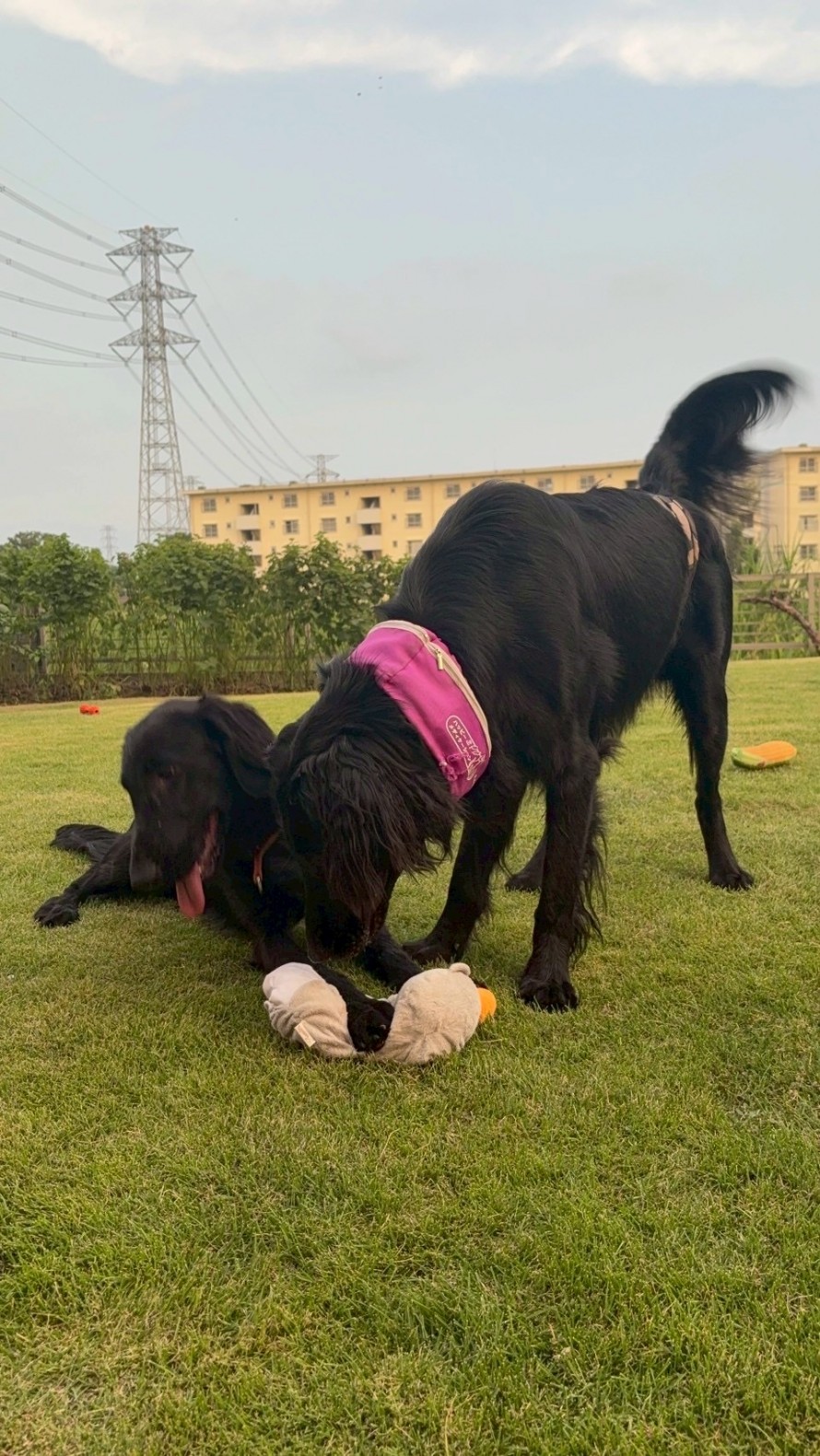 B13A9A12-4B45-4FF2-920C-2C421E87A051