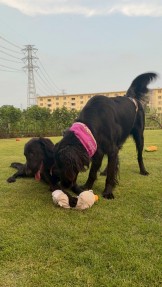 B13A9A12-4B45-4FF2-920C-2C421E87A051